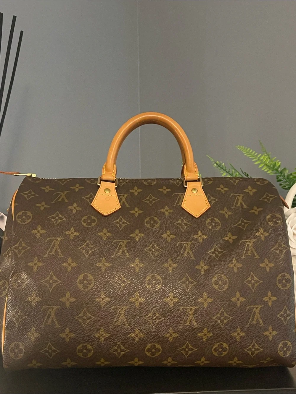 Louis Vuitton iconic louis
